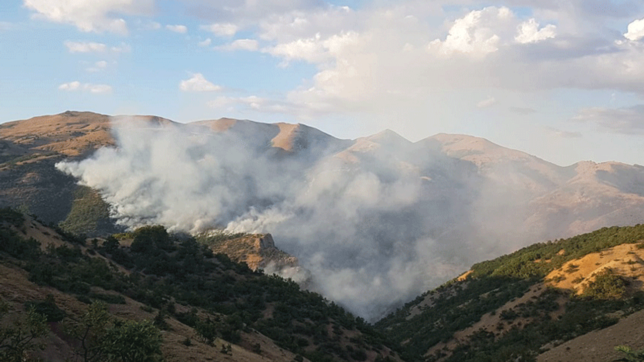 Almanya'da Dersim'deki orman yangınları için çağrı