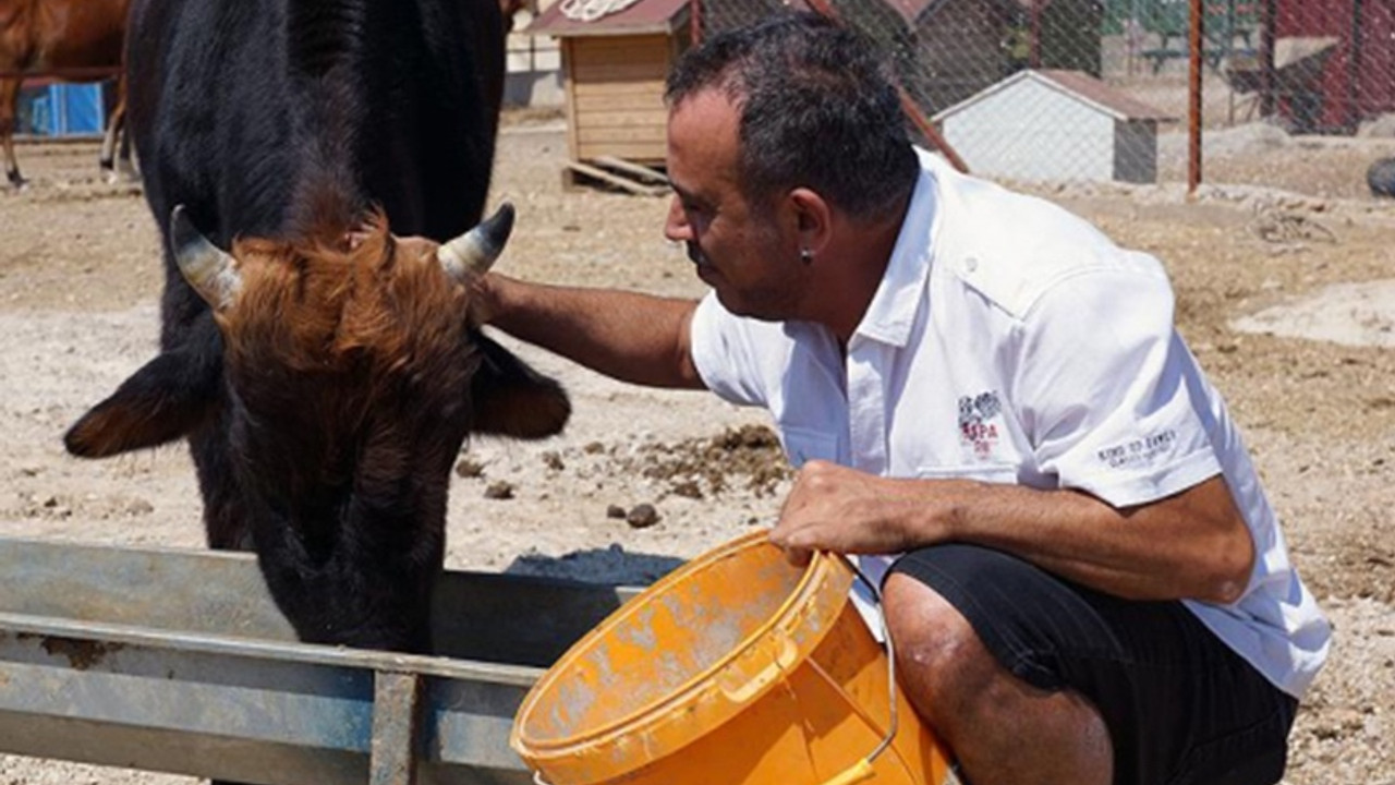 Haluk Levent'ten dana Ferdinand'a ziyaret