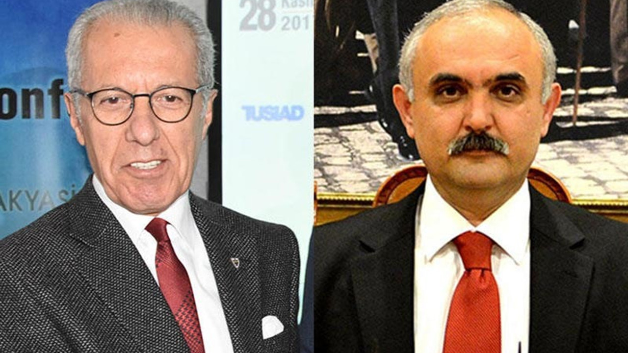 Vali yardımcıları kedi yüzünden mahkemelik oldu