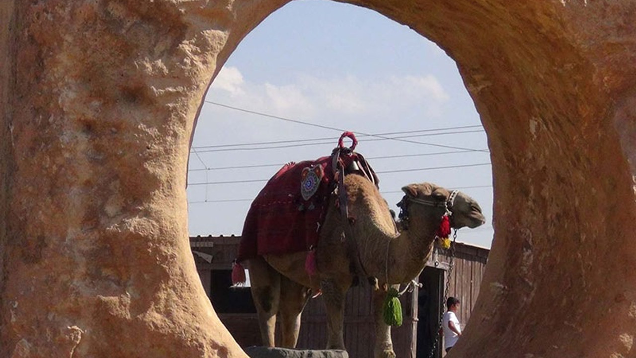 Umumi tuvalet geleneği Harran'dan geliyor