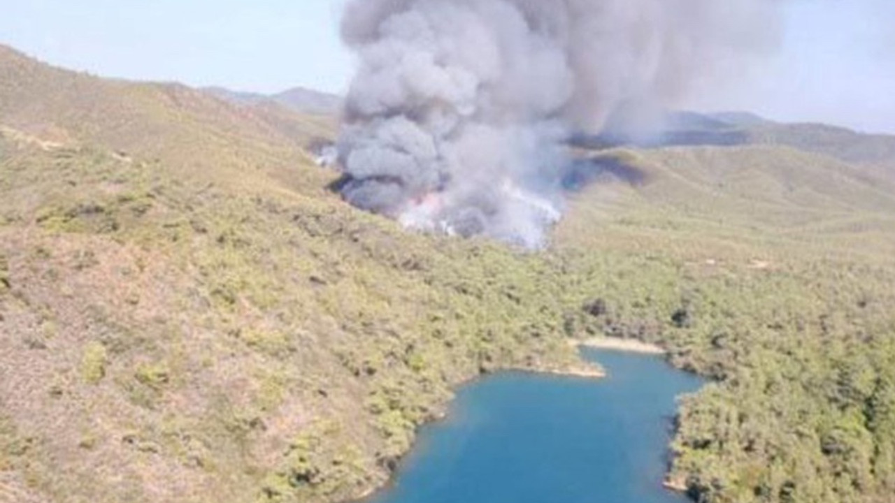 Marmaris'te orman yangını