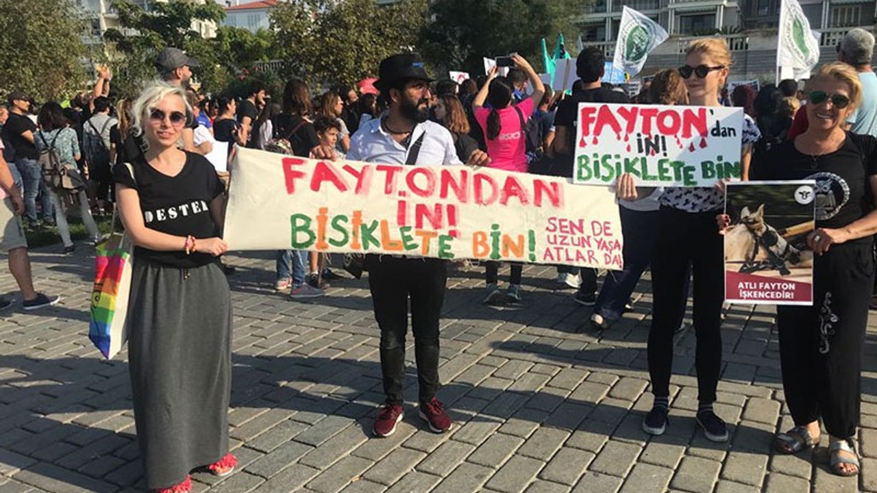 Aktivistlerden 'Atlı faytonlara son verin' çağrısı