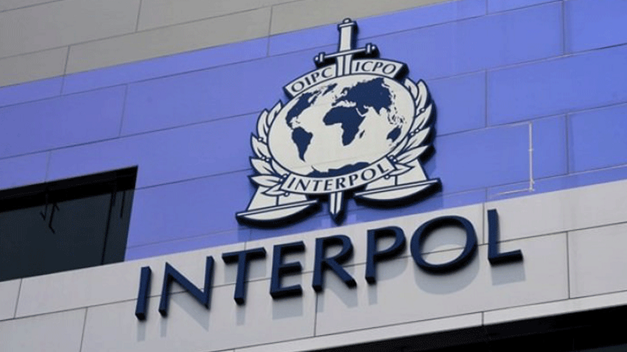 'Türkiye Interpol'ü muhalefeti bastırmak için kullanıyor'