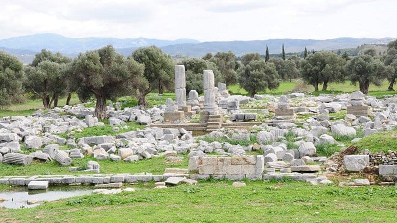 ‘Teos Antik Kenti ayağa kalkacak’