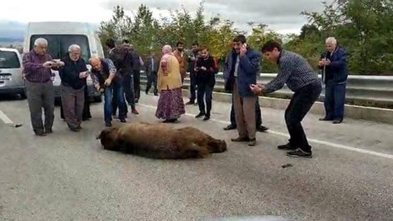 Ayıyı öldürüp arkasından beddua etti