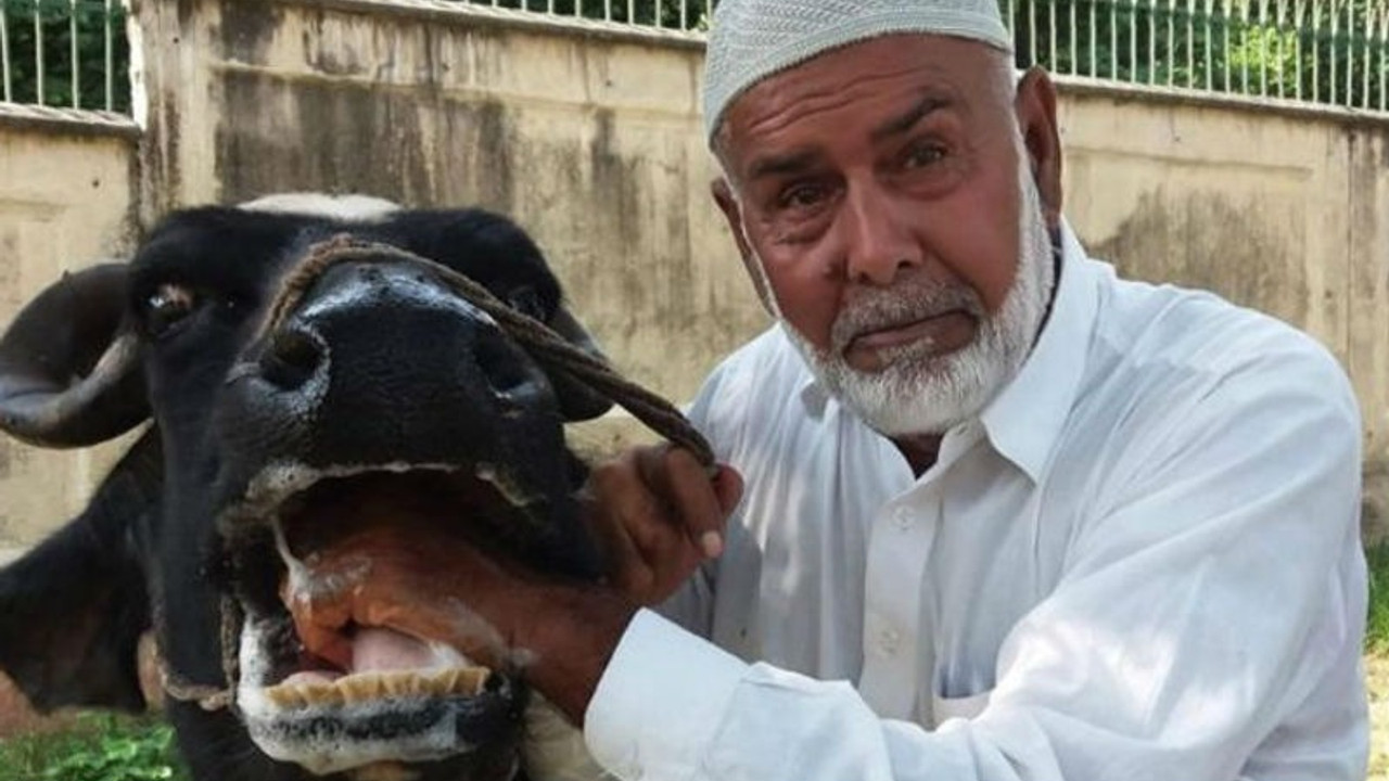 Eski başbakanın mandalarını sattılar