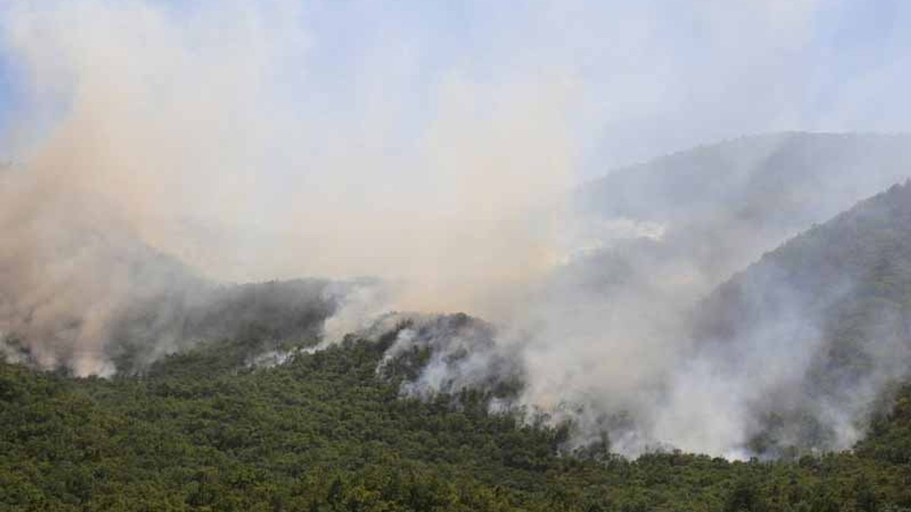 Dersim’deki yangınlara ilişkin önerge işleme konulmadı