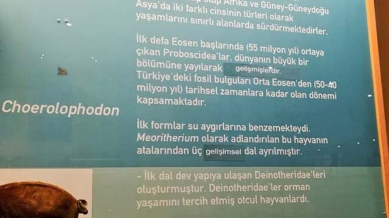 Evrim müzesinde ‘evrim’ kelimesine sansür