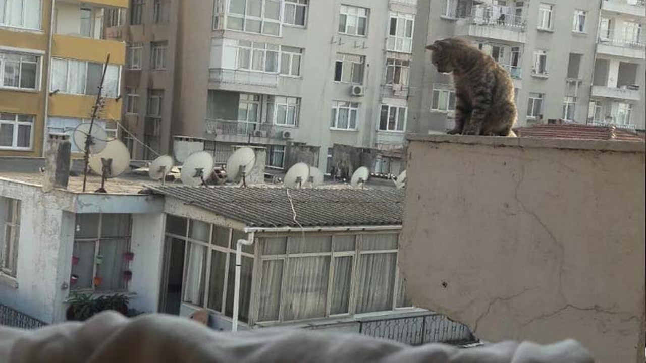 20 gündür çatıda kurtarılmayı bekliyor