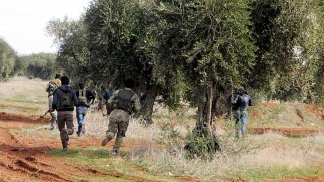 Afrin'de silahlı gruplar 'zeytin' için çatıştı: 15 yaralı