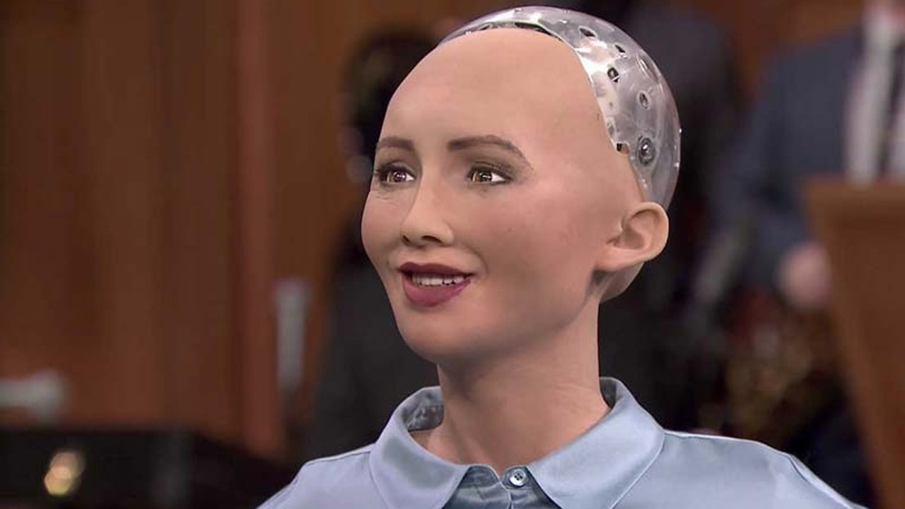 Sophia 'robot vizesi' aldı