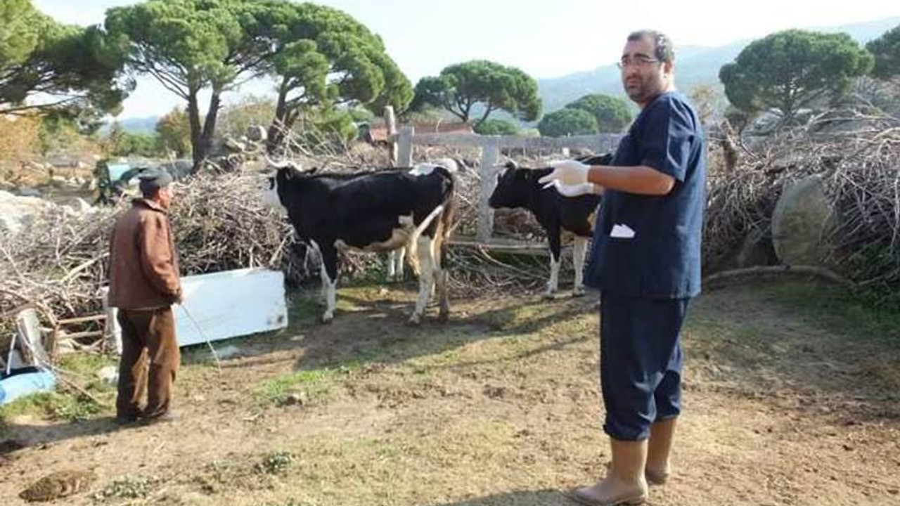 Burhaniye’de kuduz alarmı: Mahalle iki ay karantinaya alındı