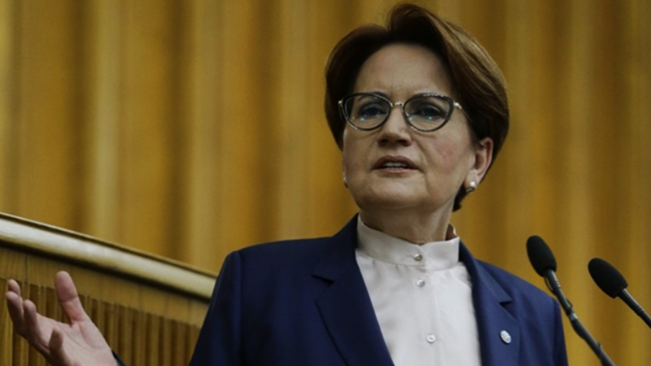 Akşener: 81 milyon hurma kütüğü değil