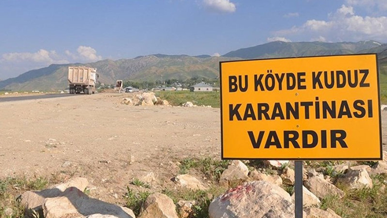Balıkesir'deki kuduz salgını Meclis gündeminde