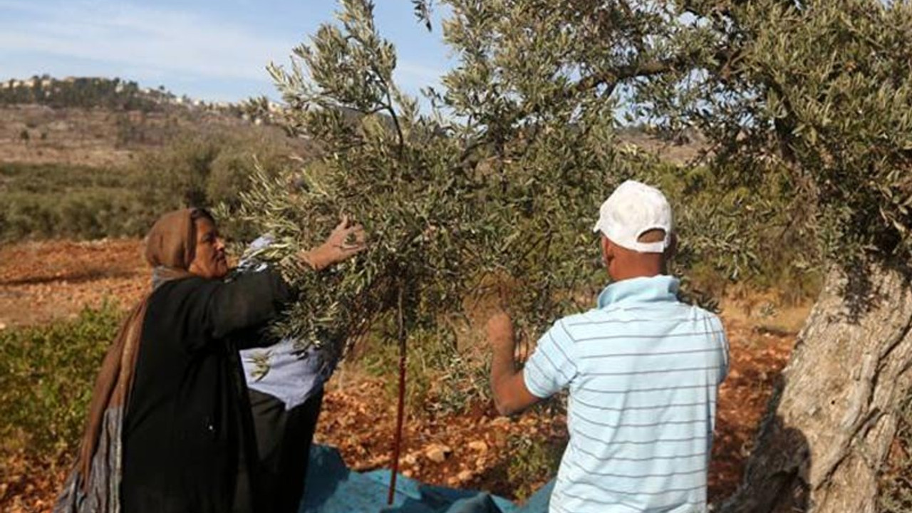 Bakan'dan Afrin itirafı: Gelirler bize geçsin istiyoruz