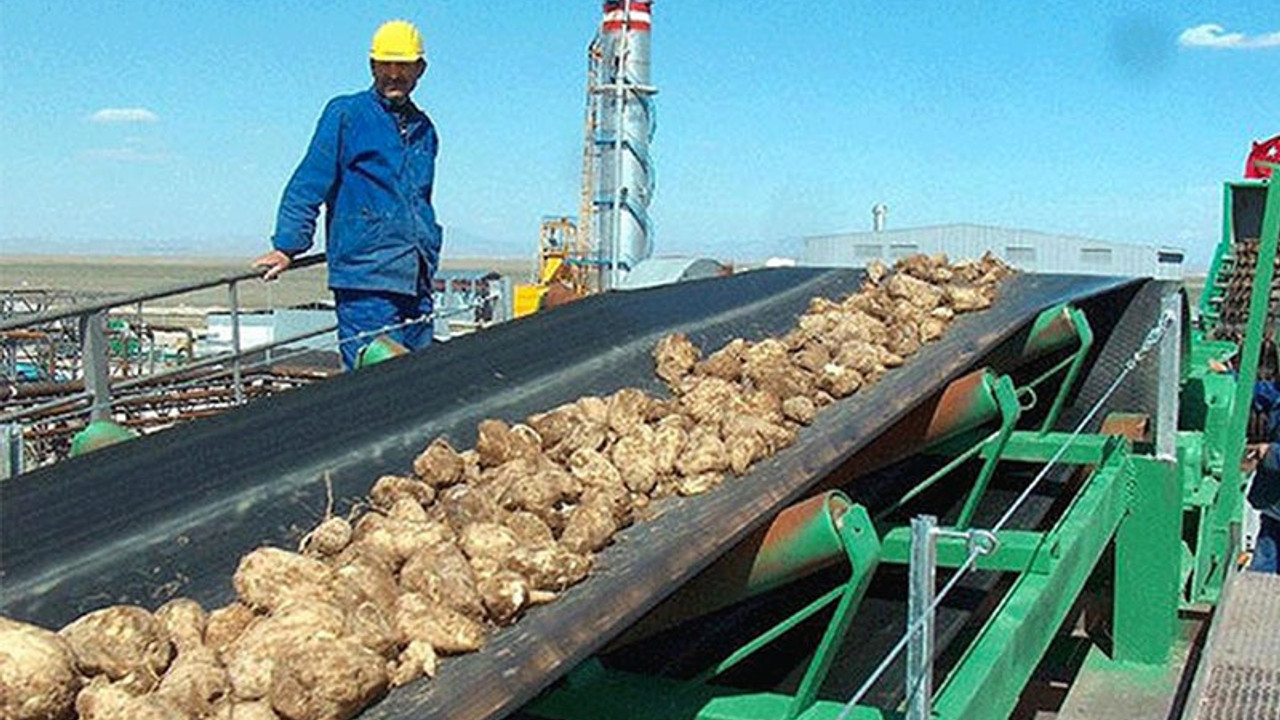 Önce fabrikalar satıldı, şimdi sıra arazilerde