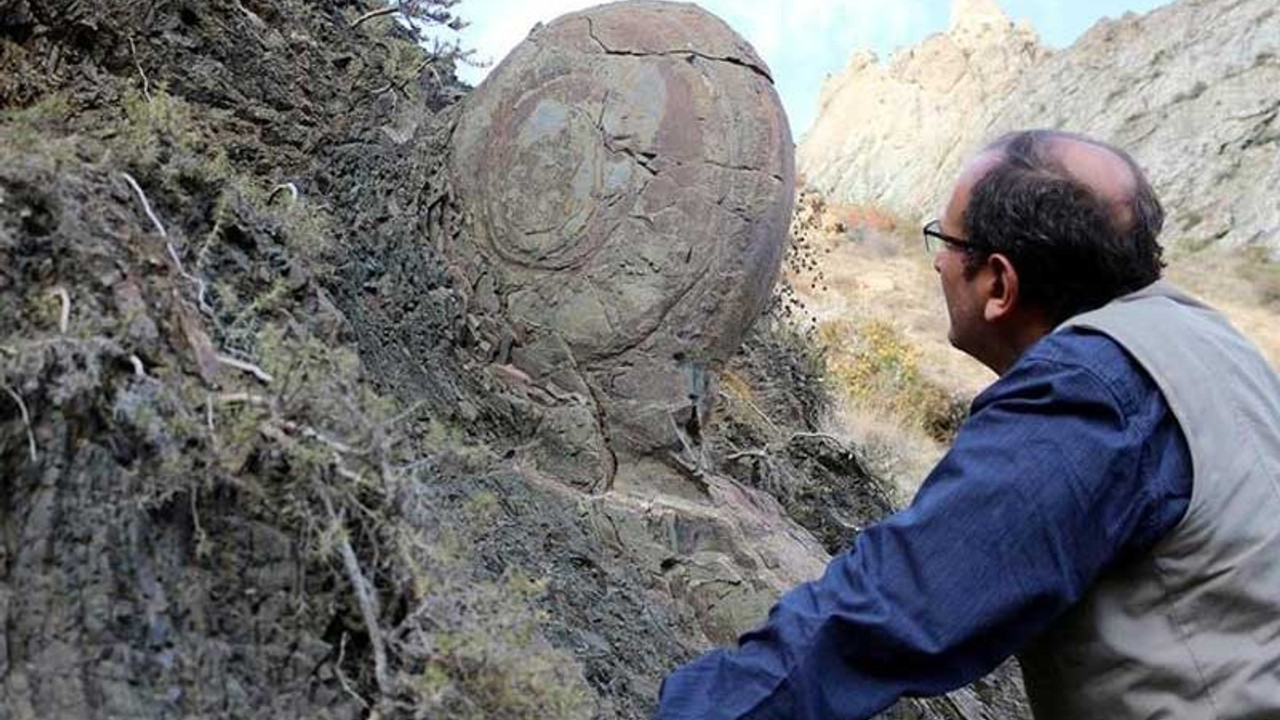 Erzurum'da bulunan 70 milyonluk 'salyangoz' kaya taşınamıyor