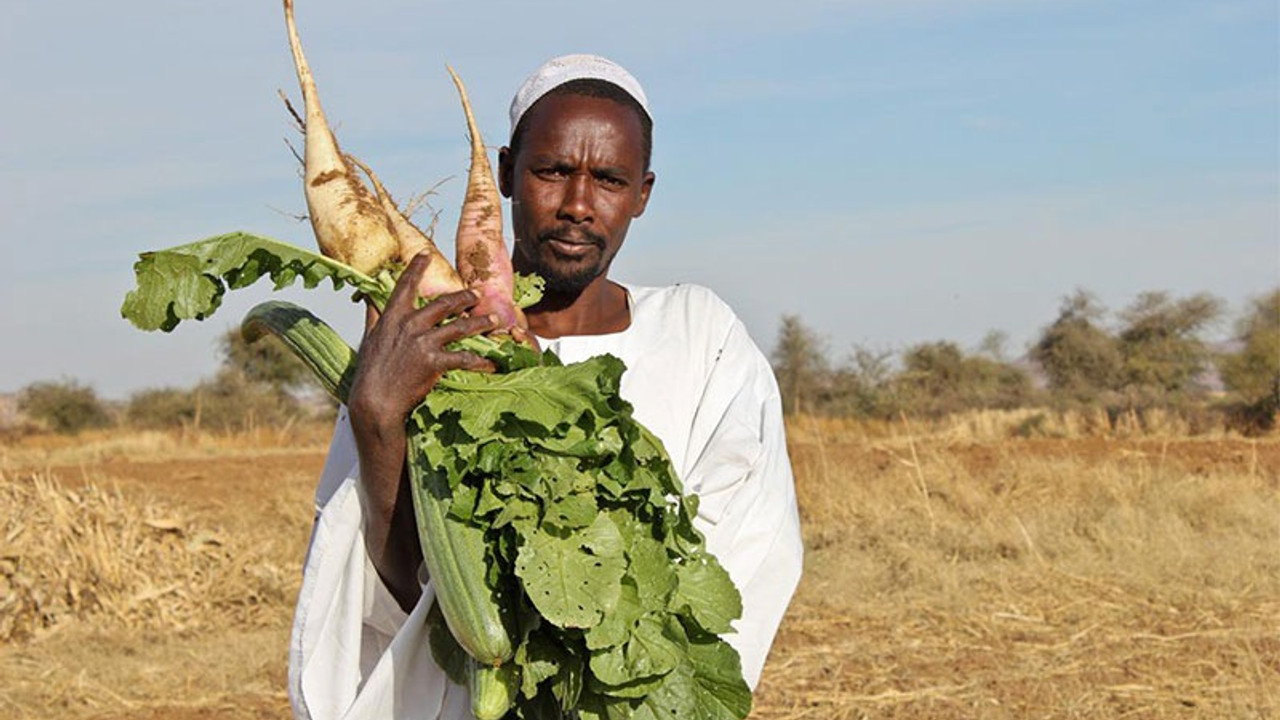 Tarımı dışa bağımlı hale getirdi, yatırıma Sudan'a davet etti