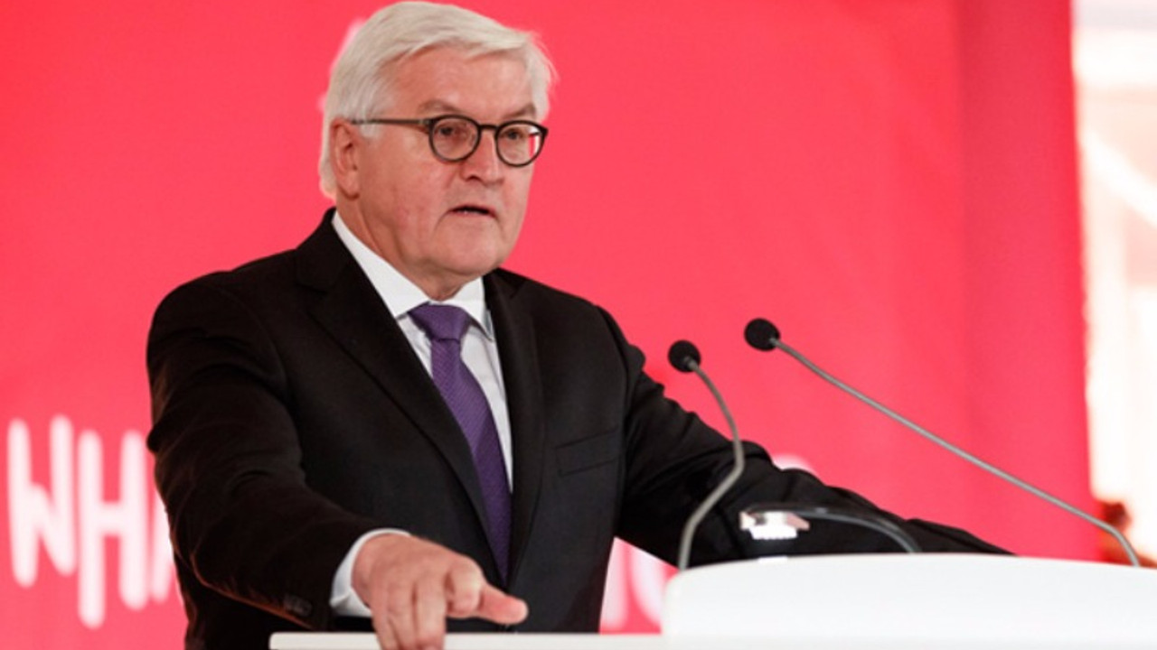 Steinmeier'den demokrasi çağrısı