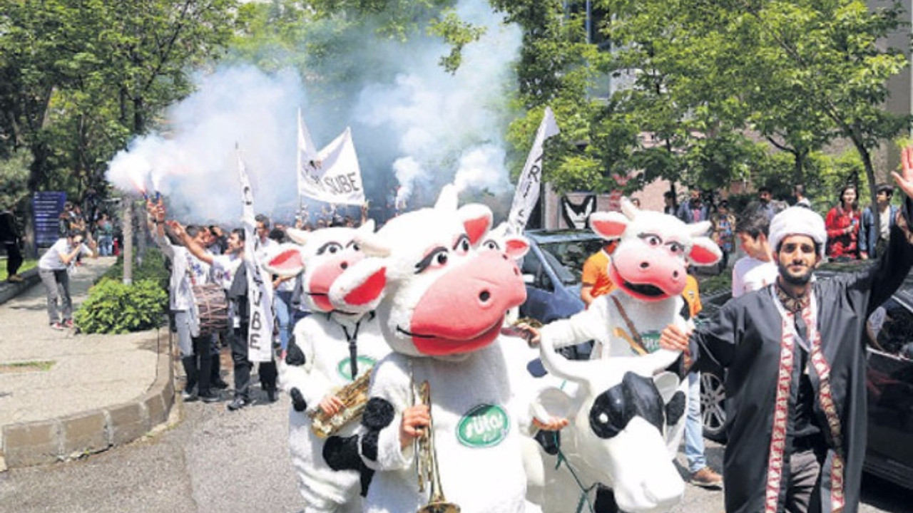 'İnek Bayramı' provokasyonu