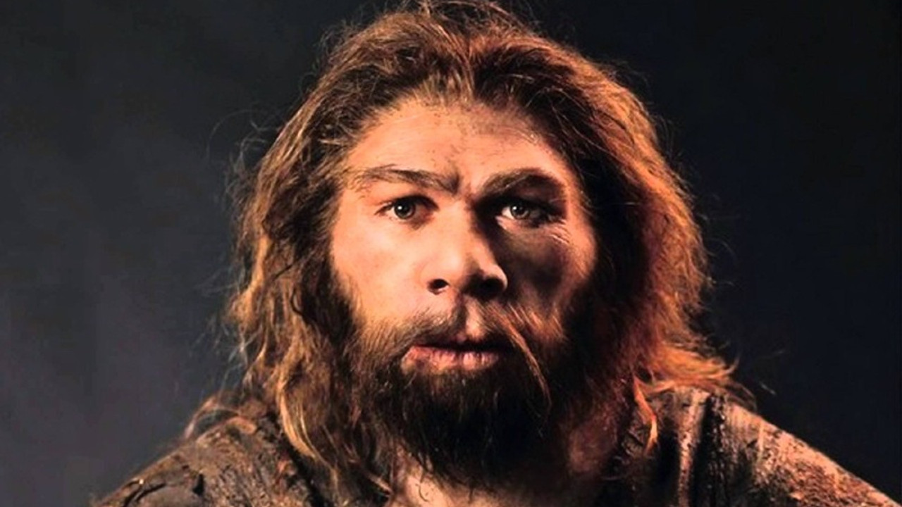 Neandertal DNA'sına sahip bazı insanların kafası daha basık