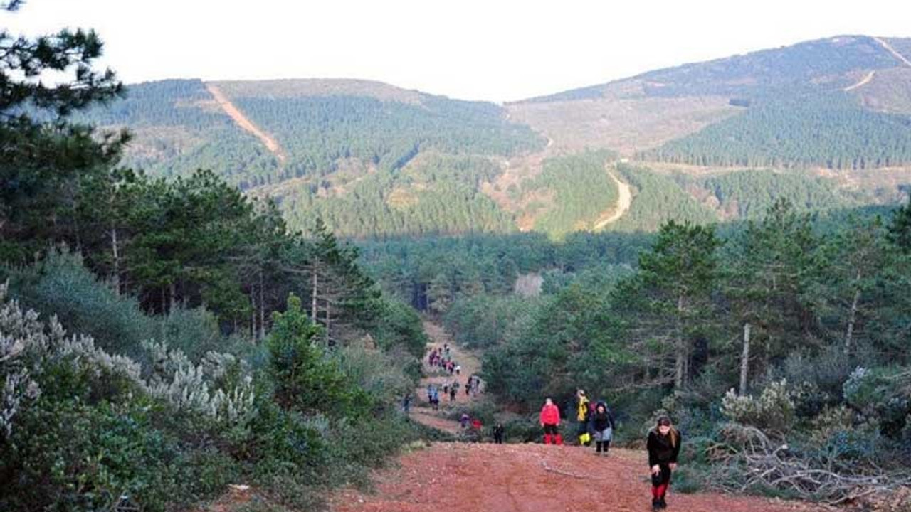 Aydos Ormanı'nda yol genişletmesine onay