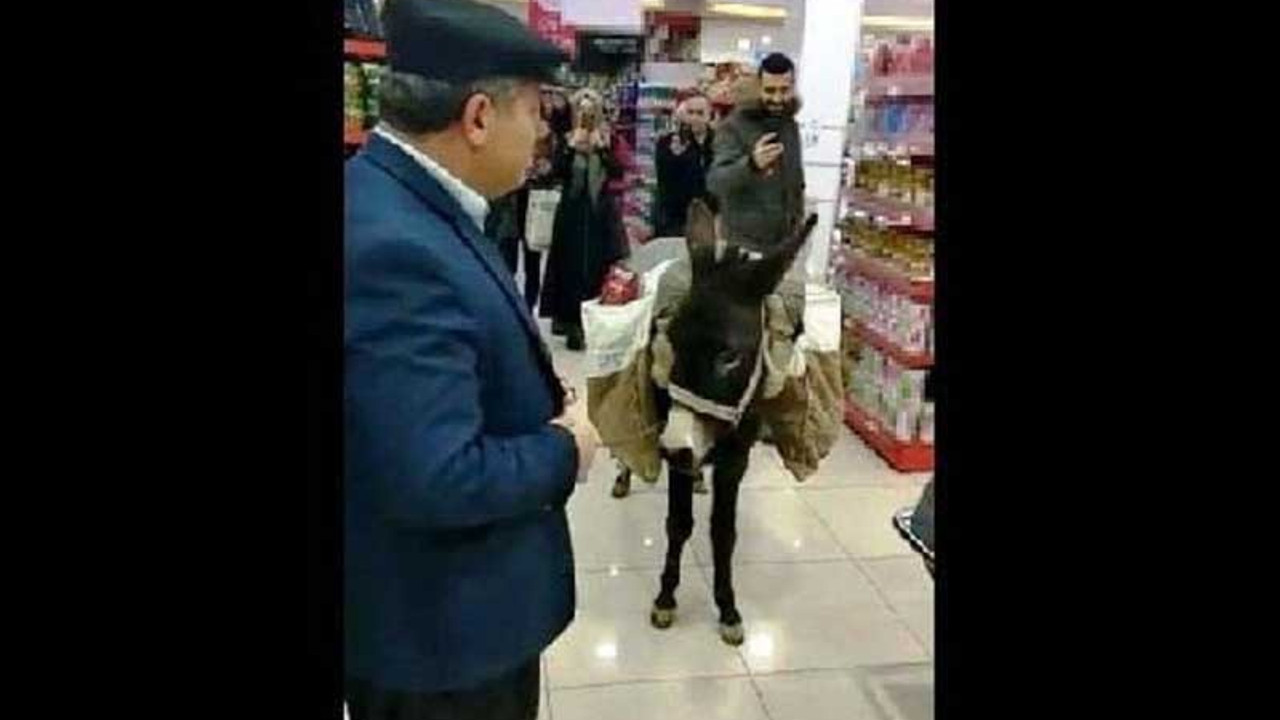 Markete eşekle gelenin kimliği belli oldu: Amacım protesto değildi şaka yapmaktı