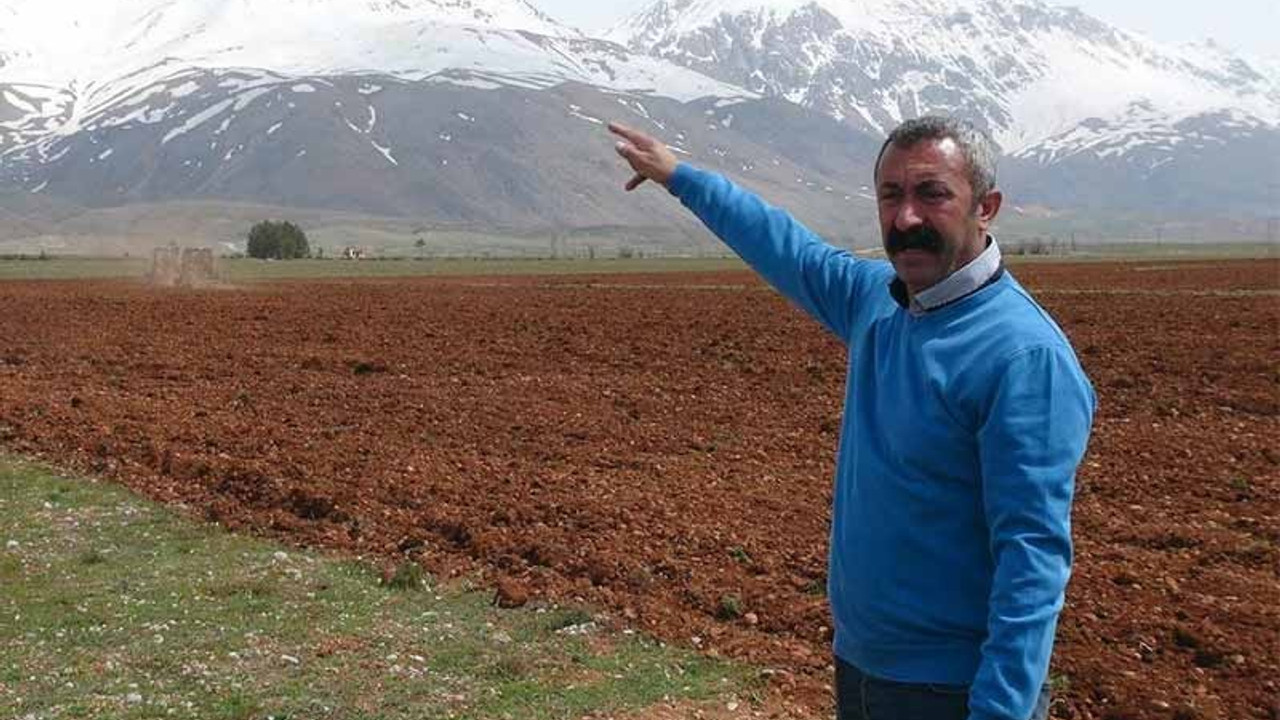 Maçoğlu TKP adayı olarak seçime girecek