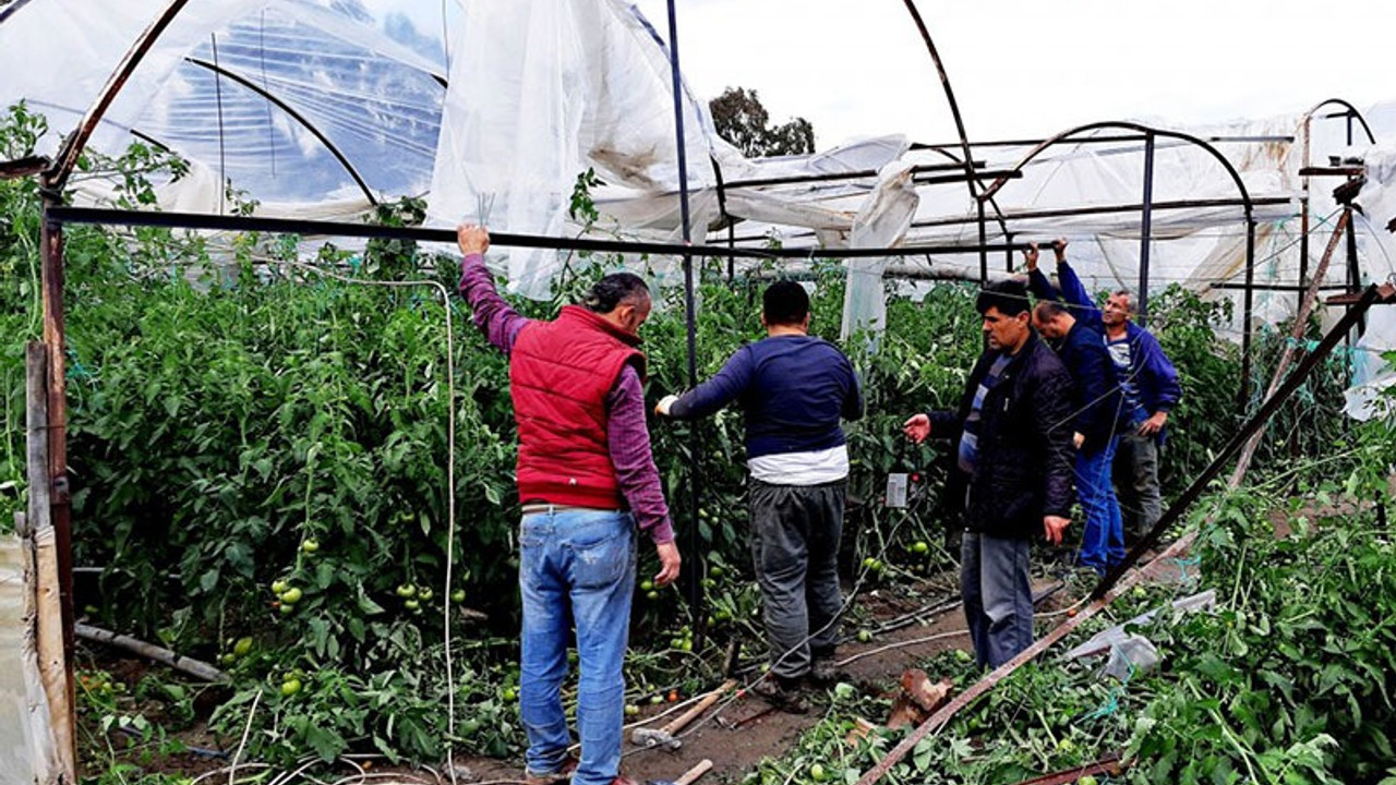 Ziraat Odaları Birliği’nden 'borçlar ertelensin' talebi