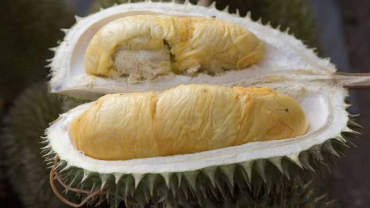 Durian: 3 yılda bir yetişen meyvenin tanesi 5280 liraya satılıyor