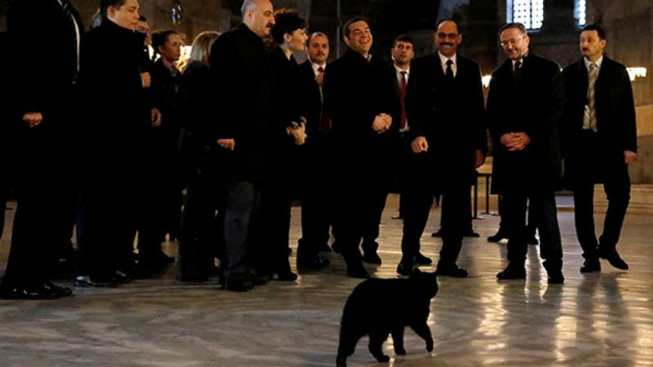 Çipras'ın Ayasofya ziyaretinde kara kedi sürprizi