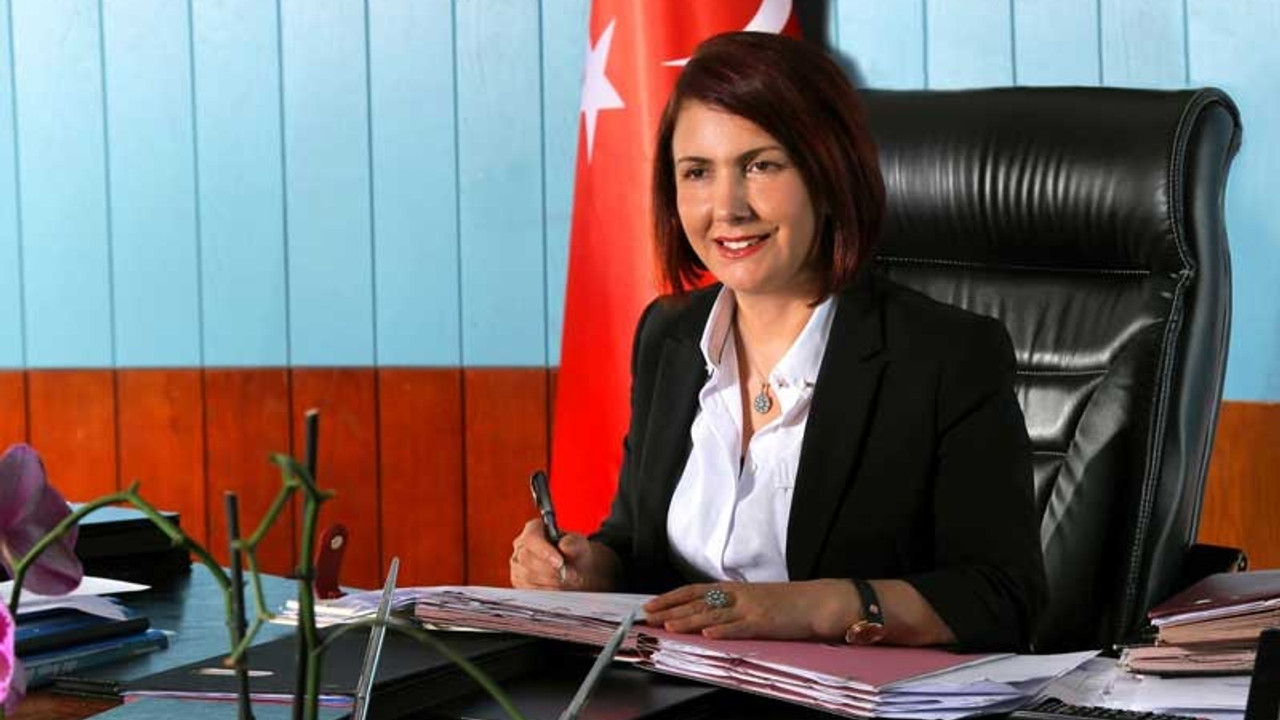 CHP'den aday gösterilmeyen Handan Toprak DSP ile görüşecek