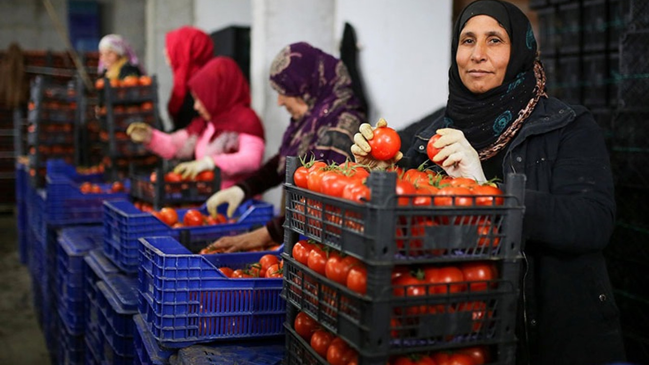 Sebzede sel geçti, kumu kaldı geriye