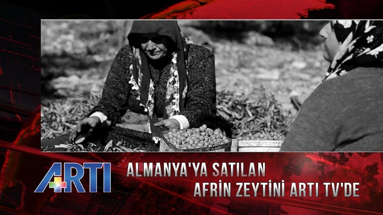 Afrin zeytininin Almanya'da TSE damgasıyla satılması Artı TV'de