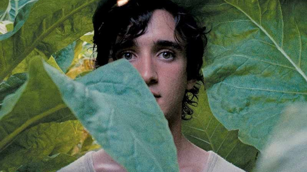 Saflığın hikayesi 'Mutlu Lazzaro'