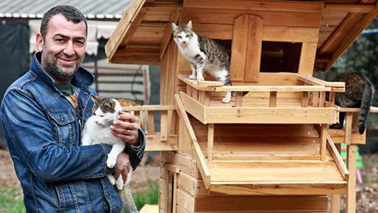 Hayvan koruma derneği başkanına ömür boyu ‘hayvan bulundurmama’ cezası