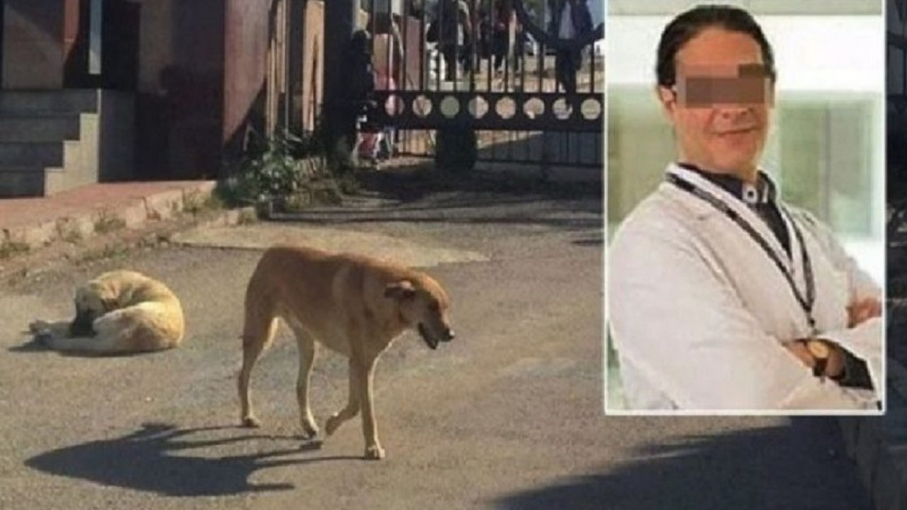 Kedisini boğan köpeği bıçaklayarak öldüren profesöre beraat