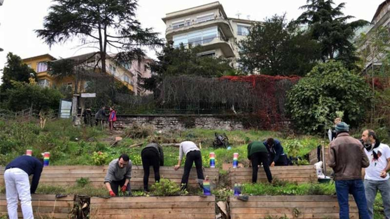 Roma Bostanı'na tohumlar serpilecek