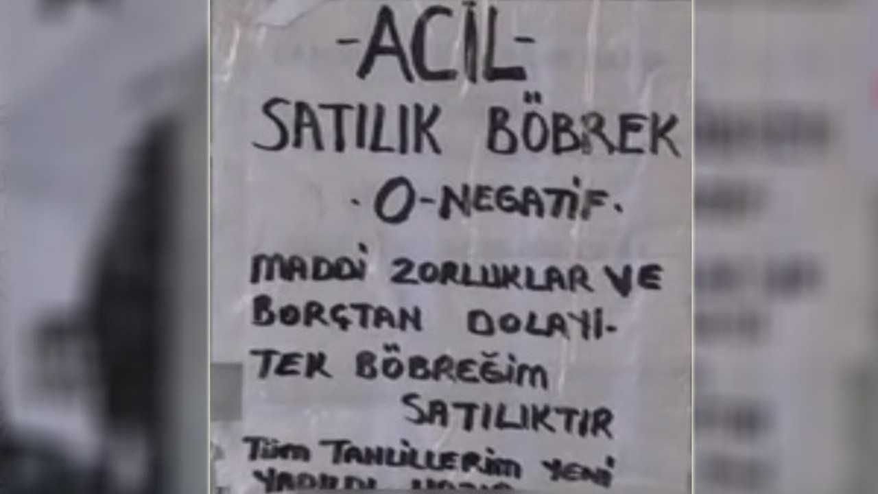 Yoksulluk ve çaresizliğin geldiği boyut: Otobüs duraklarında 'satılık böbrek' ilanı