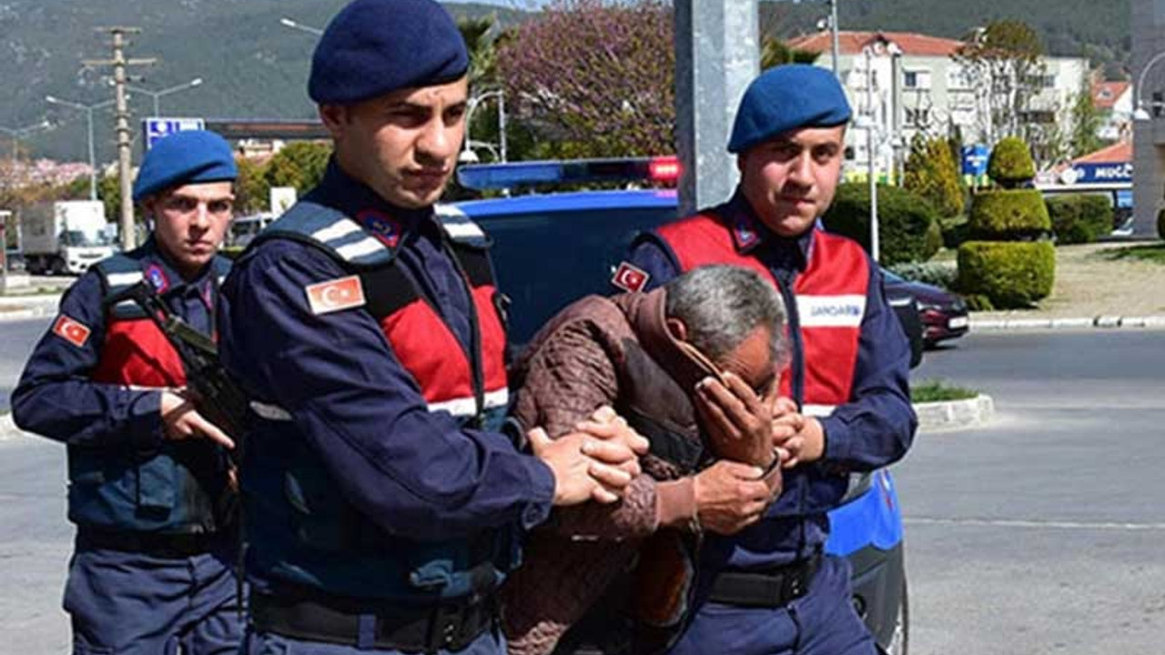 Serbest bırakılan istismar sanığı, iki çocuğu daha istismar etti