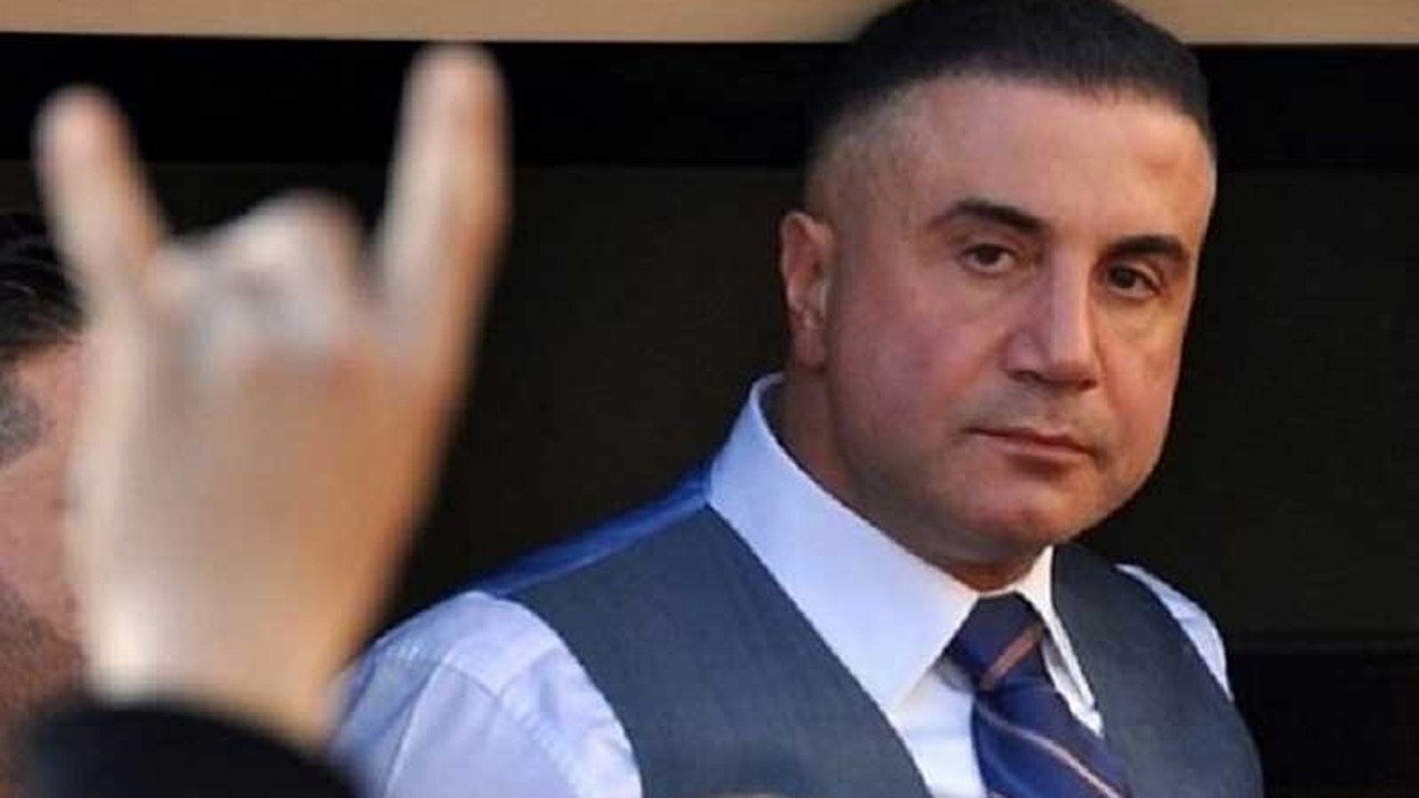 Sedat Peker: Milliyetçi muhafazakar seçmenlerin oy karşılığı yüzde 70