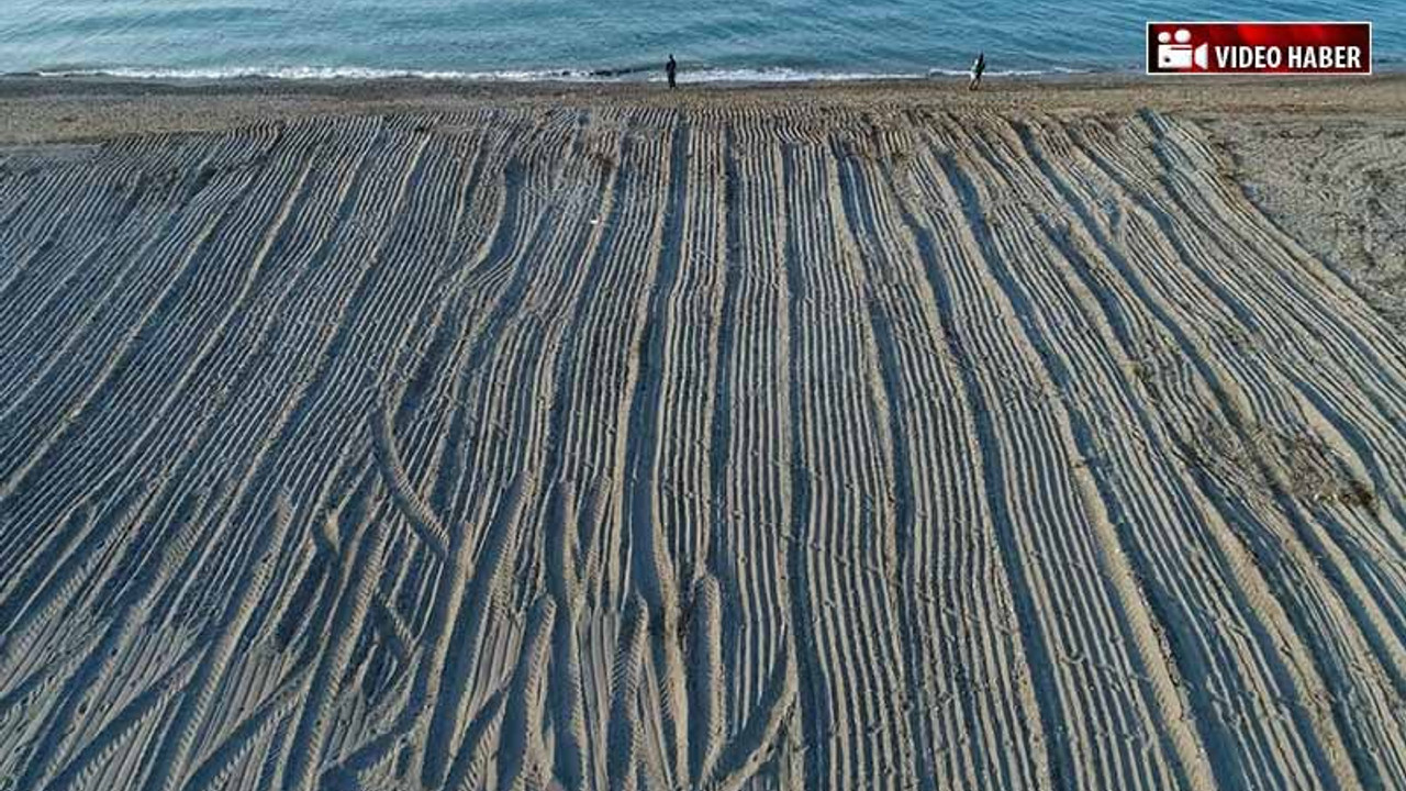 Caretta Caretta'ların yuva yaptığı sahil traktörlerle düzleştirildi