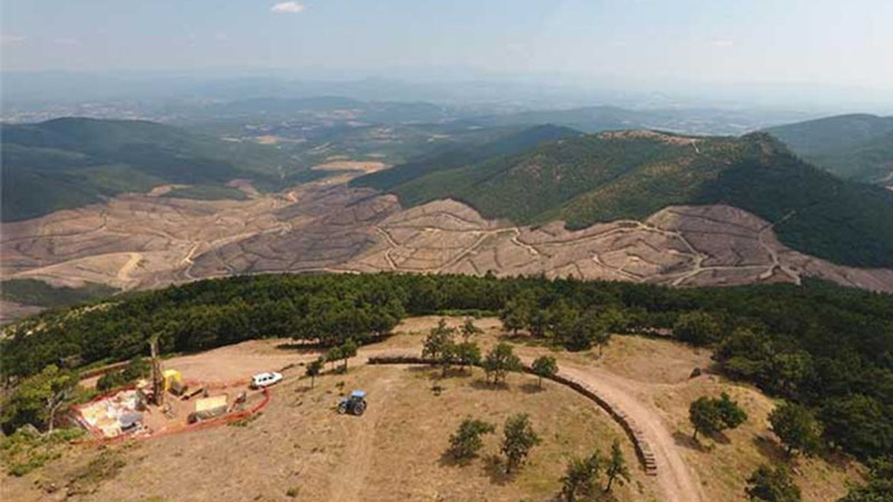 Bakanlıktan Kaz Dağları açıklaması: 195 bin değil, 13 bin ağaç kesildi