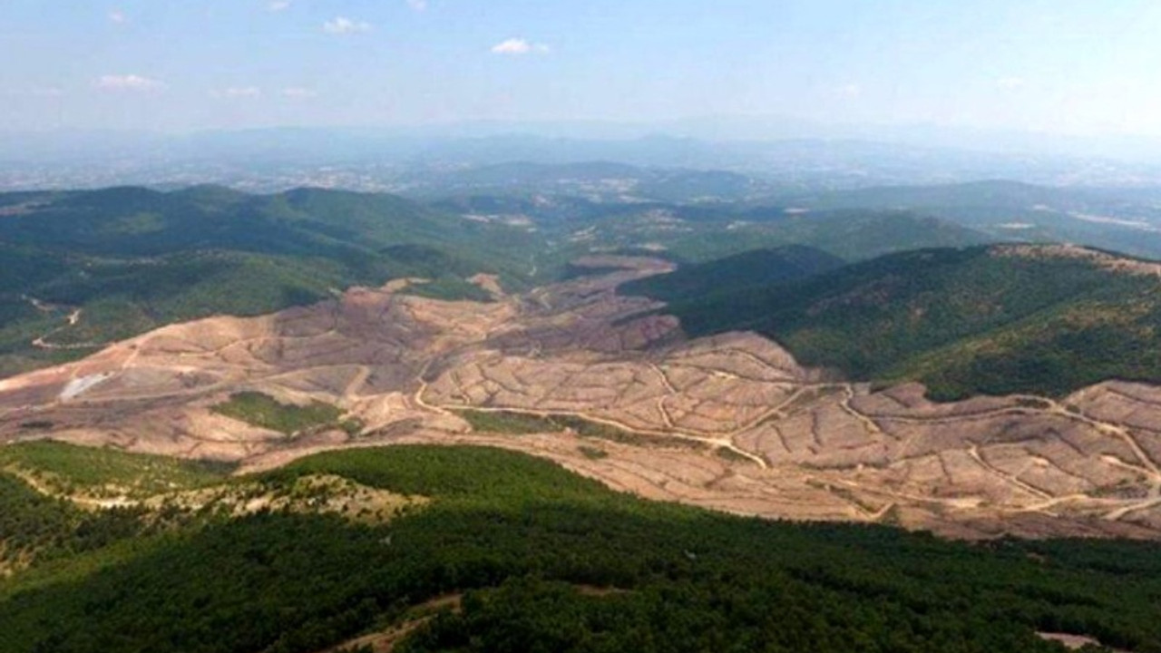 Kaz Dağları'nda altın arayan maden şirketine 'Saray sponsor'