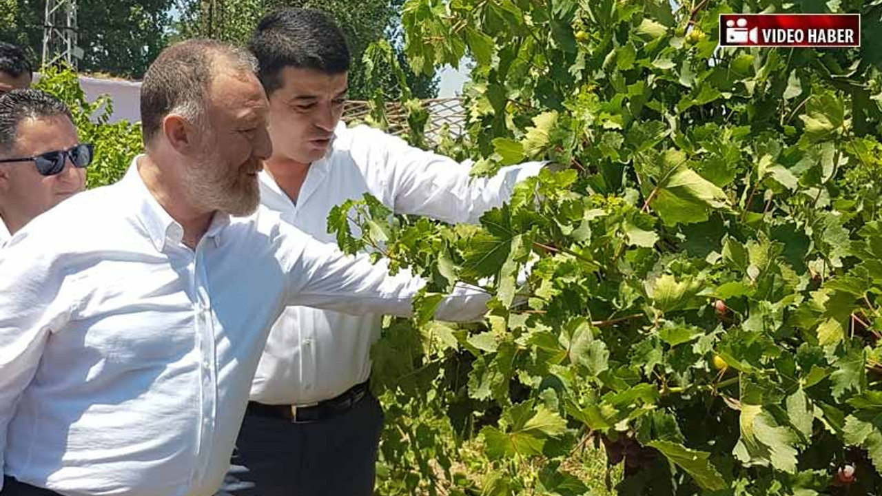 Temelli Bismil'de belediyenin kadınlara tahsis ettiği fidanlığı gezdi