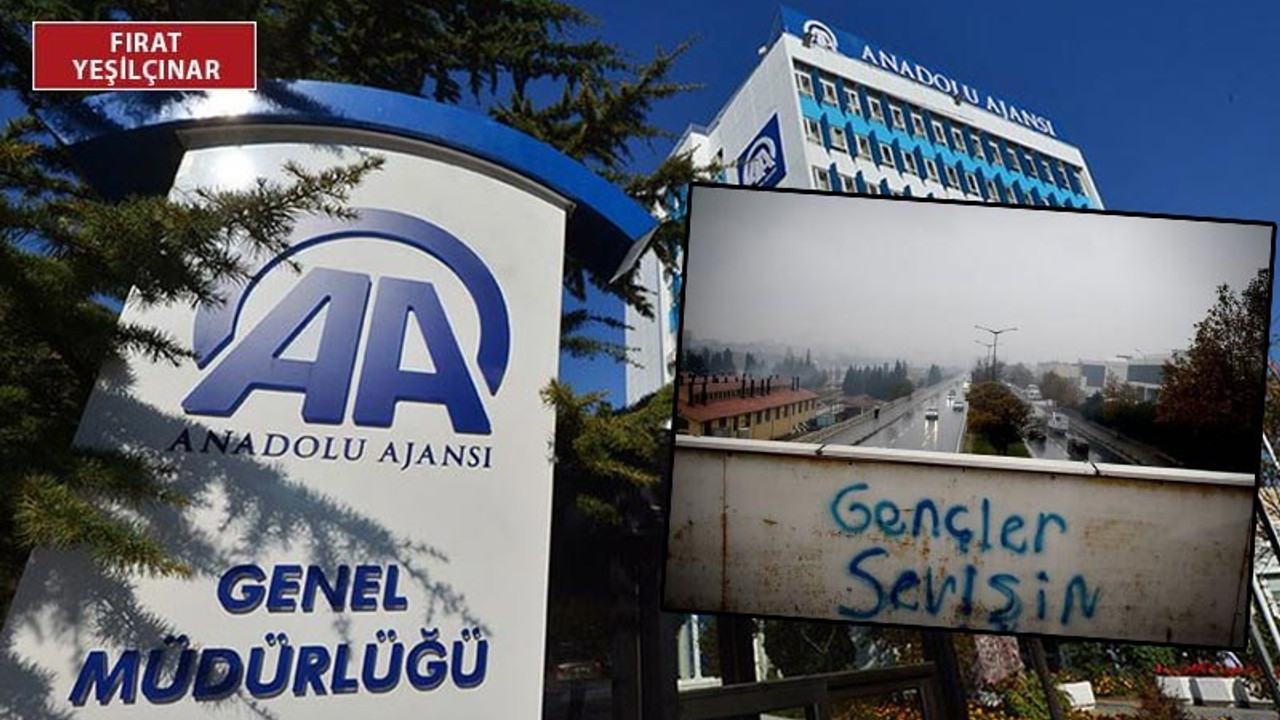 AA muhabiri 'Gençler sevişin' fotoğrafını paylaştığı için işten atılmış