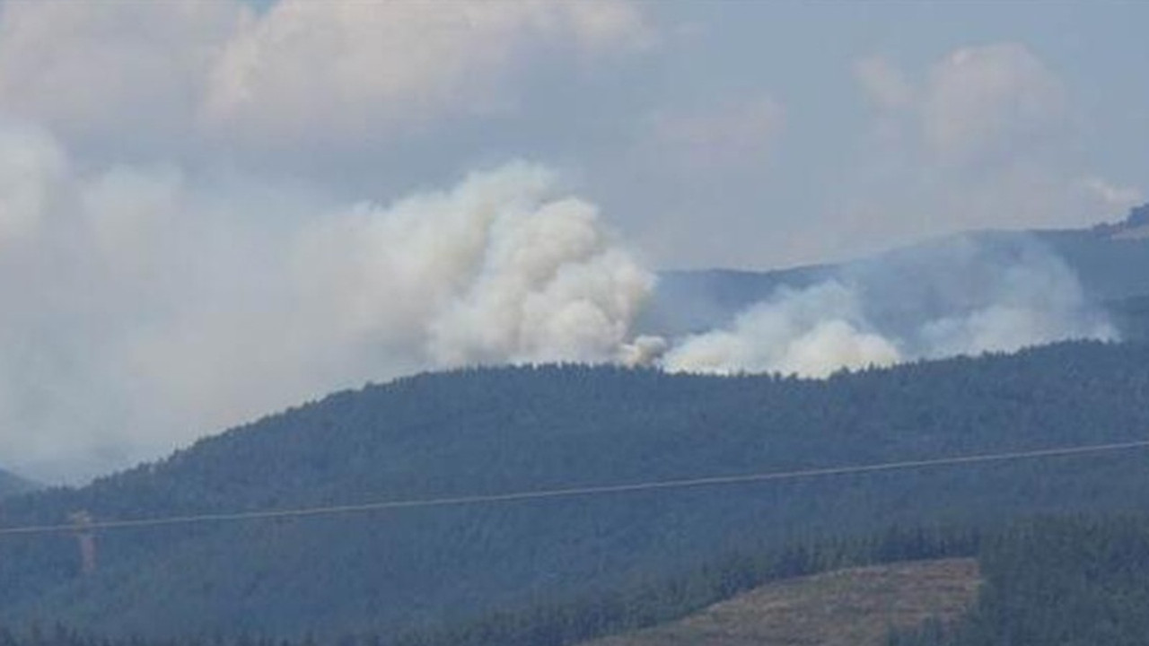 Bursa’da 6 farklı noktada yangın