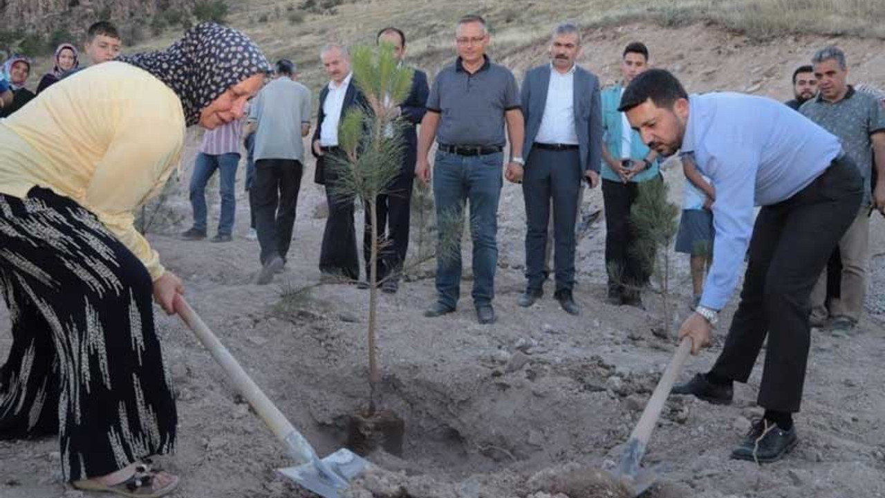 Her yeni doğan ve ölen kişi için fidan dikilecek