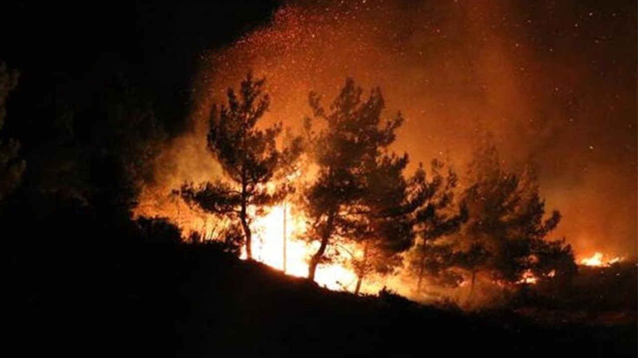 Çanakkale'de orman yangını