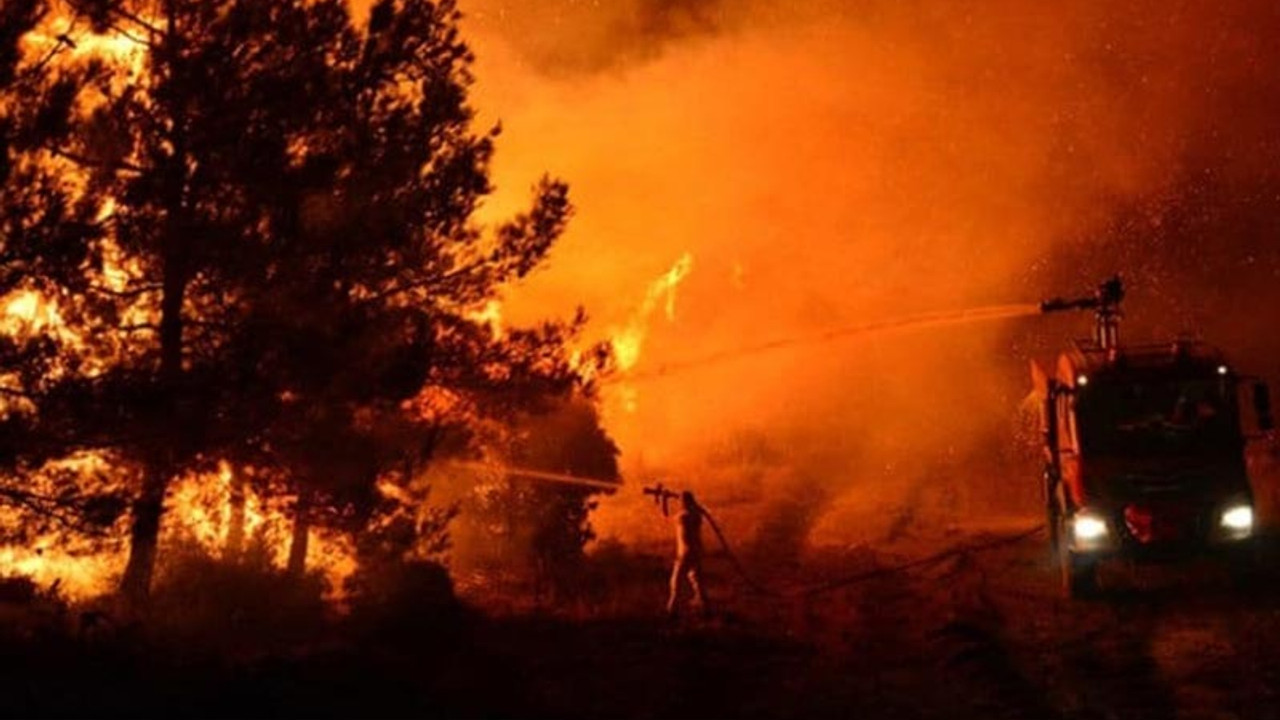 Marmara Adası'ndaki yangının şüphelisinin oğlu da gözaltına alındı